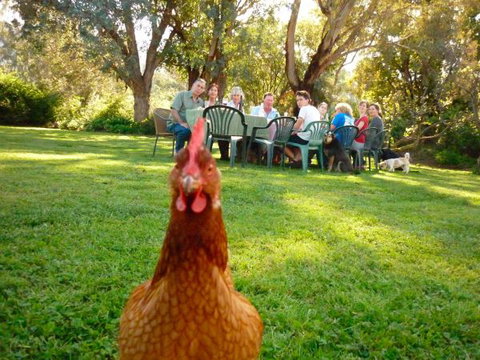 Baranduda Homestead B&B Cottages - Mackay Tourism 9