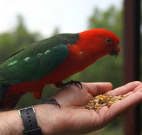 Barrington Tops Escapes - Mackay Tourism