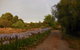 Bunjil Farm - thumb 5