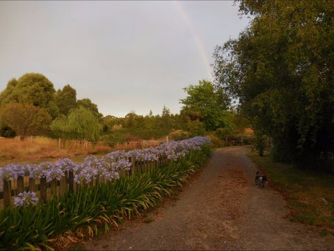 Bunjil Farm - Mackay Tourism 5