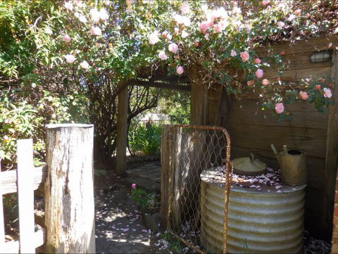 Bunjil Farm - Mackay Tourism 7