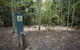 Eungella National Park Camping Ground - thumb 2