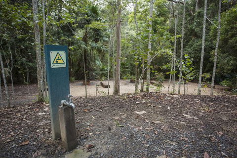 Eungella National Park Camping Ground - Mackay Tourism 2