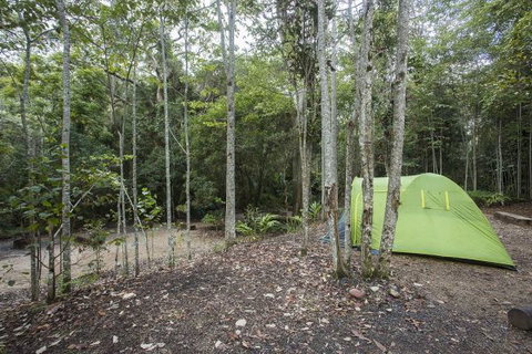 Eungella National Park Camping Ground - Mackay Tourism 3
