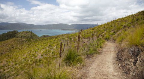 Molle Island National Park (Whitsundays National Park) Camping Ground - Mackay Tourism 2