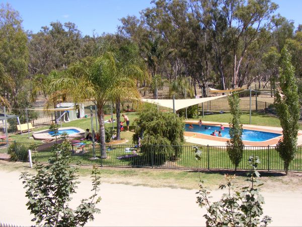 Bearii ACT Mackay Tourism