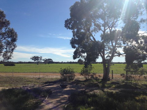 Muntiri Lodge Eco Retreat - Mackay Tourism 8