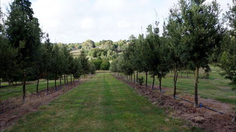 Oakhill Cottage - Mackay Tourism 6