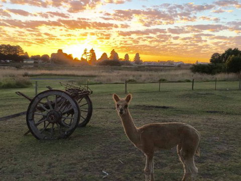 Pelican Waters Holiday Park - Mackay Tourism 2