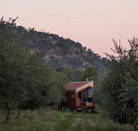 Shacky in the Olive Grove - Mackay Tourism