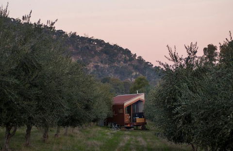 Shacky In The Olive Grove - Mackay Tourism 0