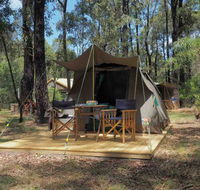 Tall Trees Camping on the Great Ocean Road - Mackay Tourism