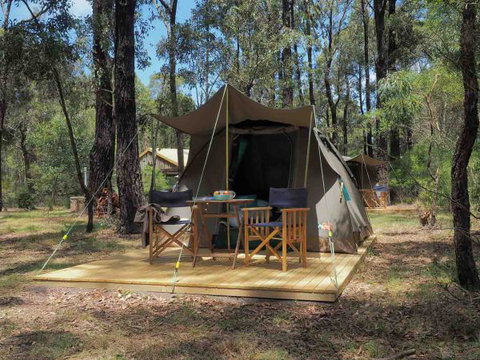 Tall Trees Camping On The Great Ocean Road - Mackay Tourism 0