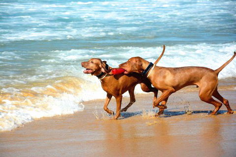 Tilba Coastal Retreat - Mackay Tourism 8