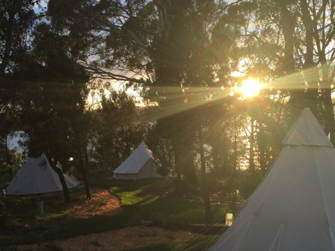 Wingtons Glamping Clarence Point - Mackay Tourism 6