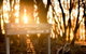 Bundanoon Country Inn Motel - thumb 2