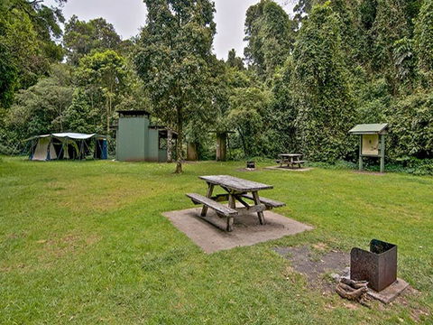 Forest Tops Campground - Mackay Tourism 0