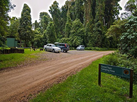Forest Tops Campground - Mackay Tourism 1