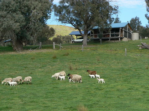 Gaddleen Grove Cottages - Mackay Tourism 0