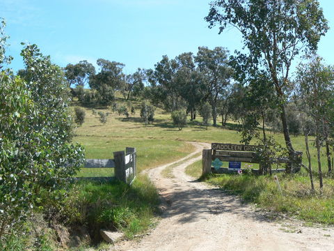 Gaddleen Grove Cottages - Mackay Tourism 3