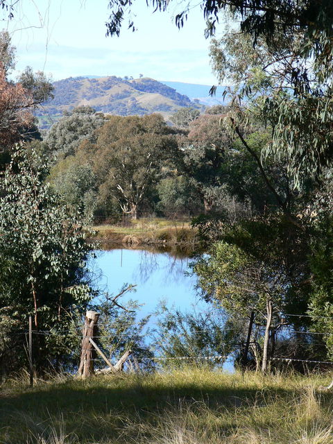 Gaddleen Grove Cottages - Mackay Tourism 6