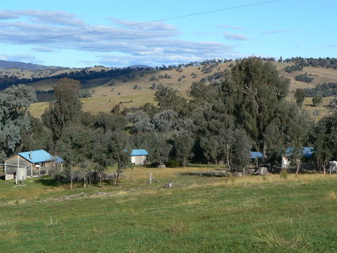 Gaddleen Grove Cottages - Mackay Tourism 7