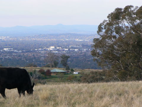 Gaddleen Grove Cottages - Mackay Tourism 8