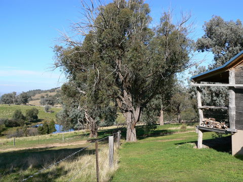 Gaddleen Grove Cottages - Mackay Tourism 9