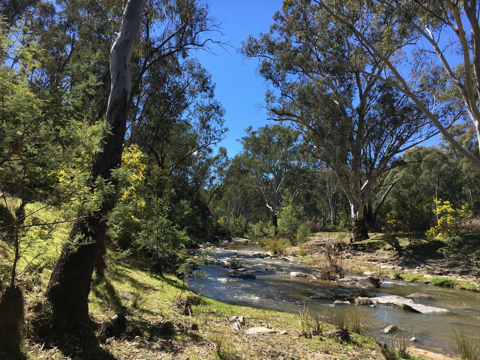Mount Adrah NSW Mackay Tourism