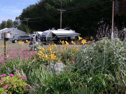 Millicent Showground RV Park - Mackay Tourism 0