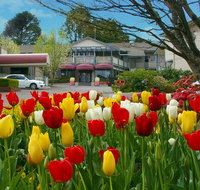 Nesuto Leura Gardens Hotel - Mackay Tourism