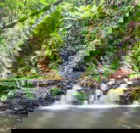 O'Reilly's Rainforest Retreat - Mackay Tourism