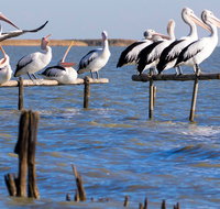Pelican Perch Retreat
