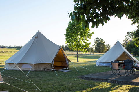 Percy's Place Caravan Park - Mackay Tourism 1