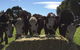 Percy's Place Caravan Park - thumb 2