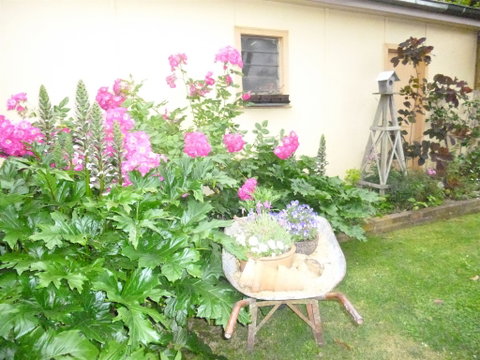 Aggies Bed And Breakfast - Mackay Tourism 2