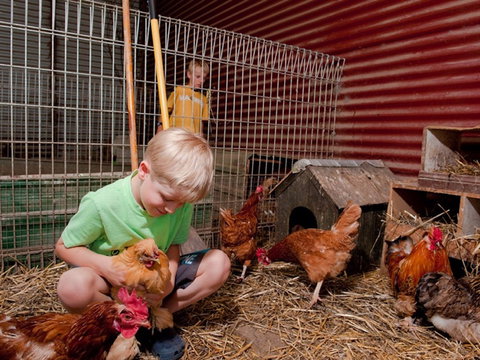 Bilpin Country Lodge - Mackay Tourism 2