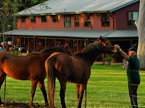 Bilpin Country Lodge - Mackay Tourism 3