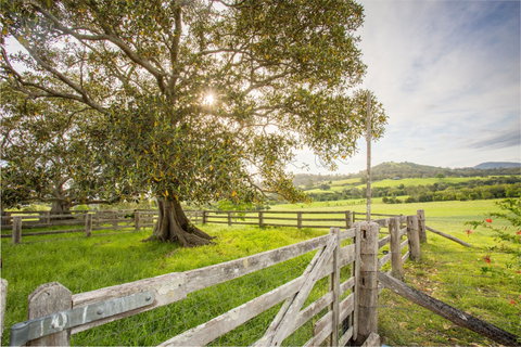 Bo-Warra Farmstay - Mackay Tourism 2