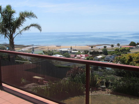 High On Penguin - Mackay Tourism 1