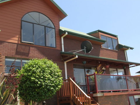 High On Penguin - Mackay Tourism 2