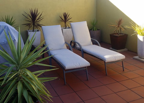 High On Penguin - Mackay Tourism 8