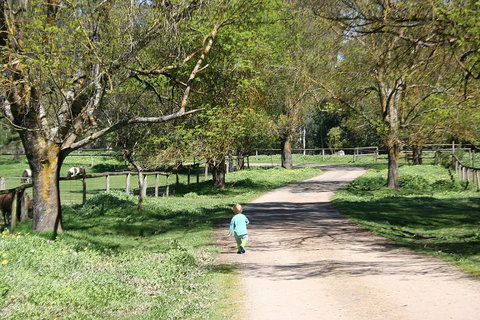 Kingbilli - Mackay Tourism 3