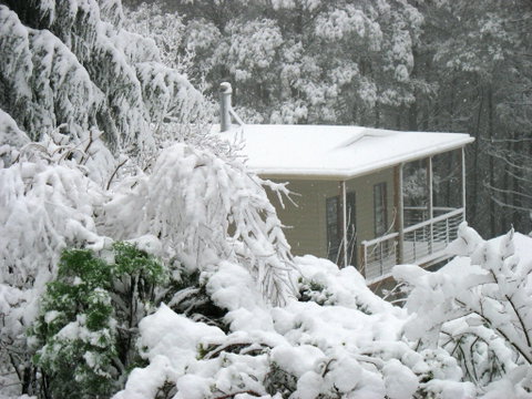 Lyrebird Cottages - Mackay Tourism 2