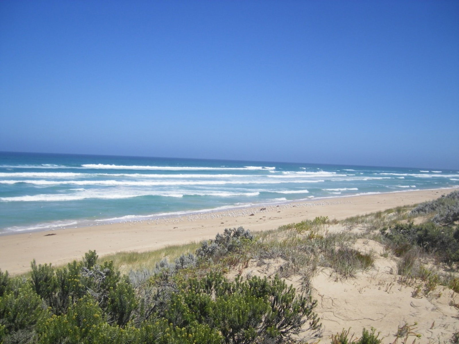 Canunda SA Mackay Tourism