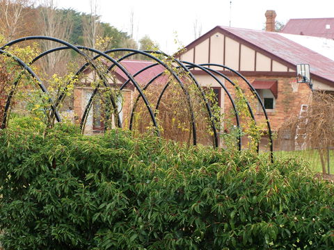 Pierrepoint Wines Bed & Breakfast - Mackay Tourism 1
