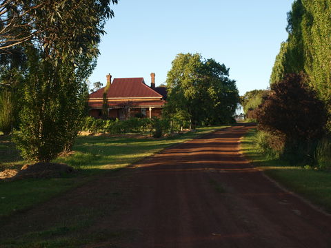 Pierrepoint Wines Bed & Breakfast - Mackay Tourism 4