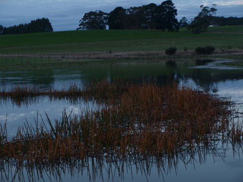 Pierrepoint Wines Bed & Breakfast - Mackay Tourism 8