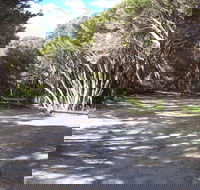 3 Mile Bend Campground - Beachport Conservation Park - Mackay Tourism