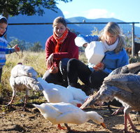 Cedar Glen Farmstay - Mackay Tourism